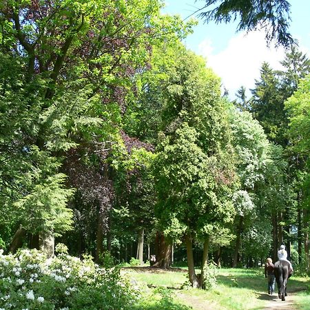 Parkhotel Smrzovka Luaran gambar