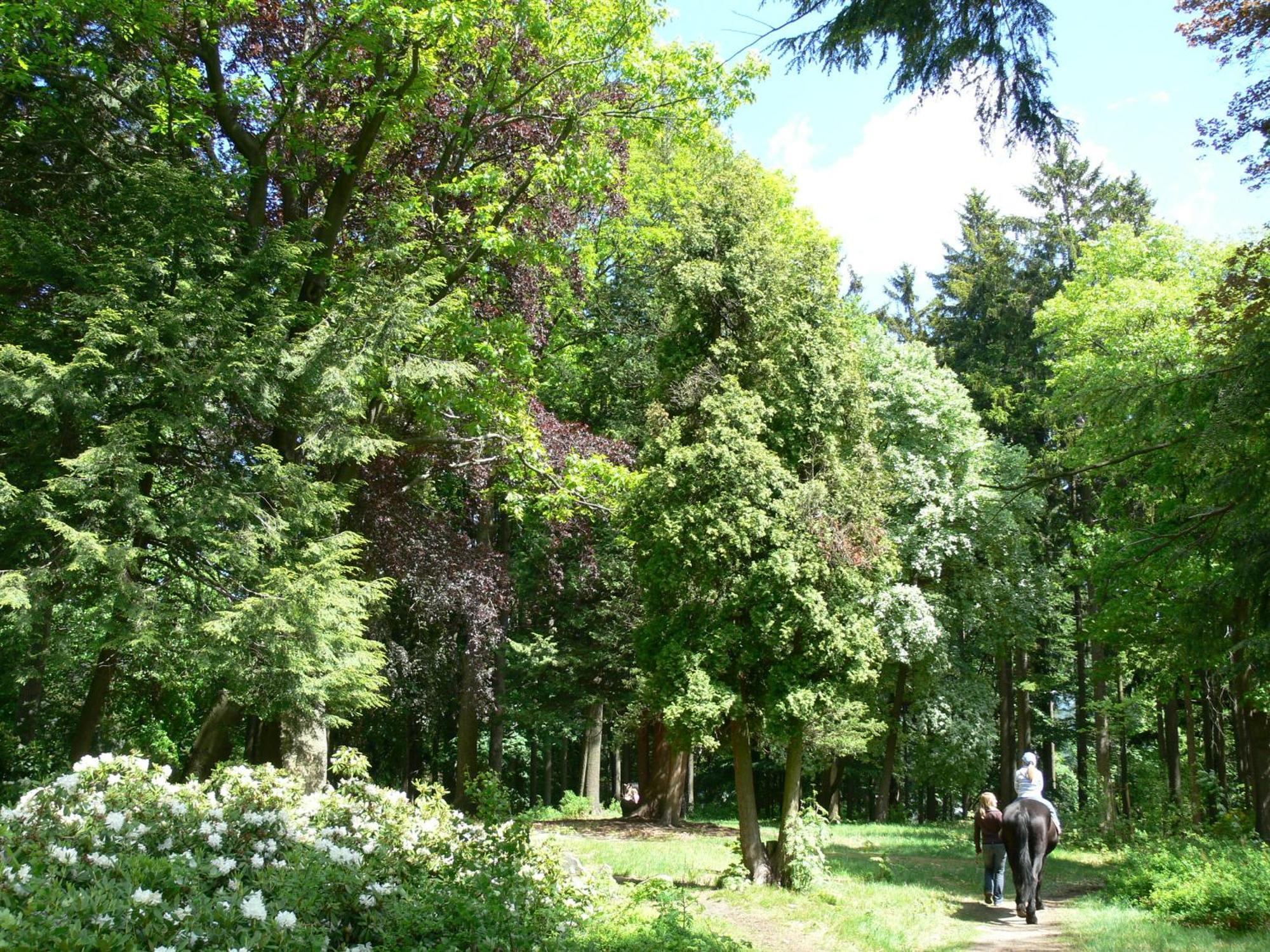 Parkhotel Smrzovka Luaran gambar
